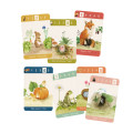 Jeu de 7 familles - Le jardin du Moulin 3
