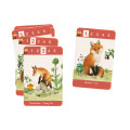 Jeu de 7 familles - Le jardin du Moulin 4