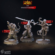 Cast n Play - Eternal Monks - Shaolin Monks