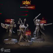 Cast n Play - Eternal Monks - Martial Monks