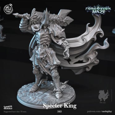 Cast n Play - Forgotten Maze - Specter King