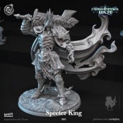 Cast n Play - Forgotten Maze - Specter King