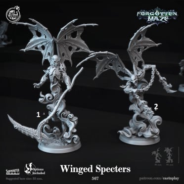 Cast n Play - Forgotten Maze - Winged Specters