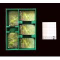 Forest shuffle and its extensions - Insert 1