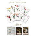 La Fleur: J'adore Mon Amaryllis 0