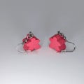 Boucles d'Oreilles Meeple 13