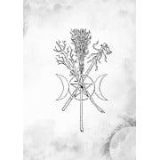 Boite de Black Powder and Brimstone - Book of Spells