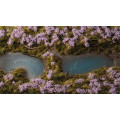 Gamers Grass - Fleurs 5