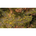 Gamers Grass - Petite Fleurs 17