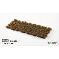 Gamers Grass - Shrubs 0