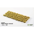 Gamers Grass - Shrubs 15