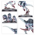 Kill Team - Typhon 12