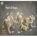 Cast n Play - Marchands de Thamarya - Chiens Errants 3
