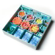 Finspan Board Game Organizer + Coral Resource Holders