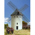 Renedra Windmill 0