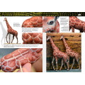AK Learning 14: Painting Animal Figures 3