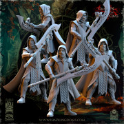 The Beholder Miniatures - Sylvains - Masked Avengers