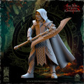 The Beholder Miniatures - Sylvains - Masked Avengers 16