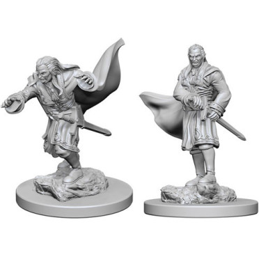 D&D Nolzur's Marvelous Unpainted Miniatures: Vampires