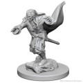 D&D Nolzur's Marvelous Unpainted Miniatures: Vampires 2