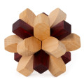 Brain Puzzle N02: Parietal Lobe 0