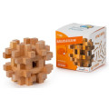 Brain Puzzle N05: Cerebellum 1