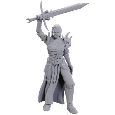 D&D Nolzur's Marvelous Miniatures: Blackguard