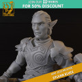 Titan Forge – Sylvans Elves – 5x Heath Riders with EMC 5
