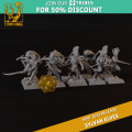 Titan Forge – Sylvans Elves – 5x Blade Dancers 1