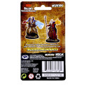 D&D Nolzur’s Marvelous Miniatures - Human Male Wizard 1
