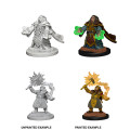 D&D Nolzur's Marvelous Miniatures: Dwarf Female Cleric 1