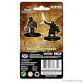 D&D Nolzur’s Marvelous Miniatures: Dwarf Female Paladin 1