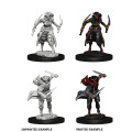 D&D Nolzur's Marvelous Miniatures: Tiefling Female Rogue 2