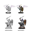 D&D Nolzur's Marvelous Miniatures: Aasimar Male Paladin 2