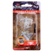 D&D Nolzur's Marvelous Miniatures: Aasimar Fighter
