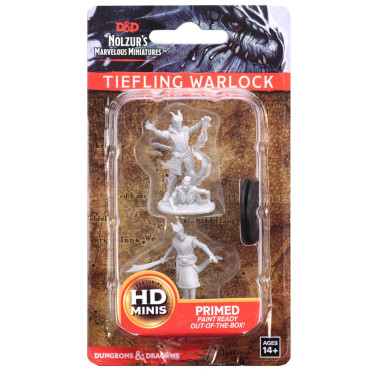 D&D Nolzur's Marvelous Miniatures: Male Tiefling Warlock