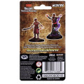 D&D Nolzur's Marvelous Miniatures: Male Tiefling Warlock 1