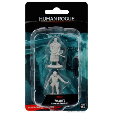 D&D Nolzur's Marvelous Miniatures: Male Human Rogue