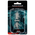 D&D Nolzur's Marvelous Miniatures: Male Human Rogue 0