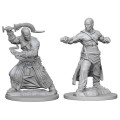 Pathfinder Battles - Human Male Monk 2