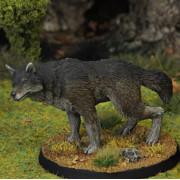 7TV - Dire Wolf A