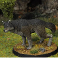 7TV - Dire Wolf A 0
