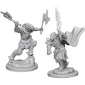 D&D Nolzur's Marvelous - Dragonborn Female Fighter 1