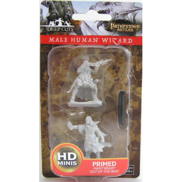 Pathfinder Battles Deep Cuts Unpainted Miniatures: Male Human Wizard