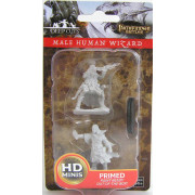 Pathfinder Battles Deep Cuts Unpainted Miniatures: Male Human Wizard