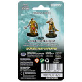 D&D Nolzur's Marvelous Miniatures - Male Human Cleric 1