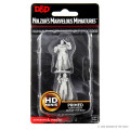 D&D Nolzur's Marvelous Miniatures - Human Ranger & Moon Elf Sorcerer 0
