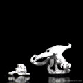 D&D Nolzur’s Marvelous Miniatures - Black Dragon Wyrmling 2