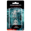 D&D Nolzur’s Marvelous Miniatures - Male Human Warlock 0
