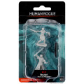 D&D Nolzur’s Marvelous Miniatures - Female Human Rogue 0